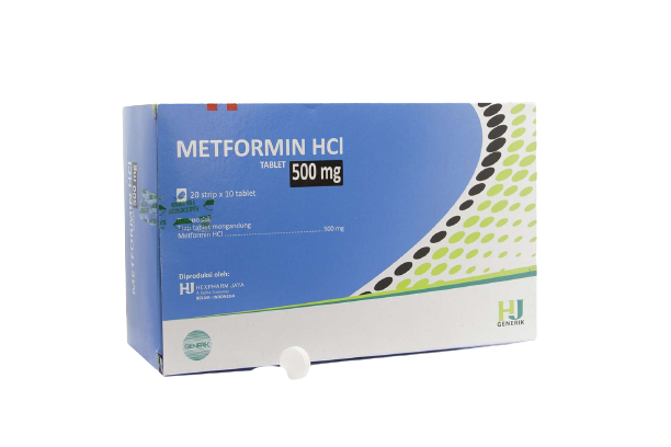 Metformin Hcl 500 mg